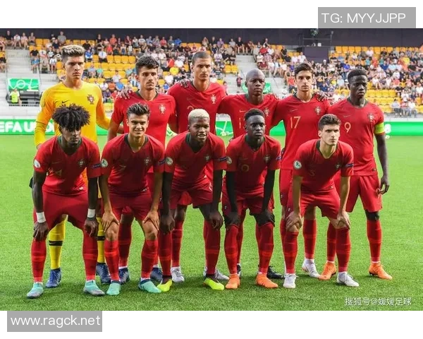 波黑足球明星的崛起与成就揭秘及其在国际赛场上的影响力分析